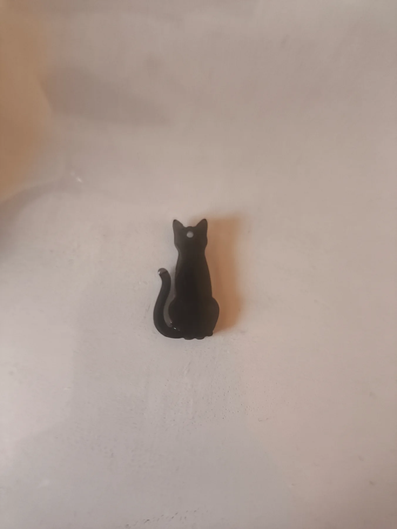 Black cat